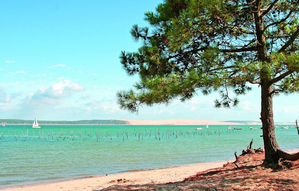 Vvf Lege Cap Ferret Hotel Luaran gambar